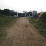 svs-college-03