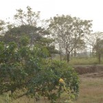 svs-college-new-building-work