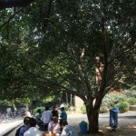 jnu-delhi-1