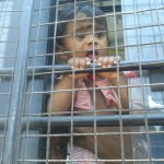 chennai-tasmac-protest-09