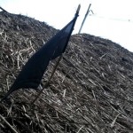 shutdown-tasmac-vpm-black-flag-protest-9