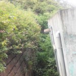 kothagiri-govt-hospital-4