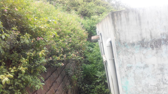 kothagiri-govt-hospital-4