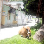 kothagiri-govt-hospital-5