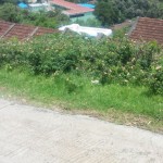 kothagiri-govt-hospital-6