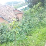 kothagiri-govt-hospital-8