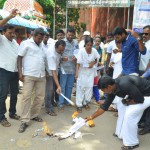 chidambaram-lawyers-black-law-burning-2