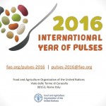 international-year-of-pulses