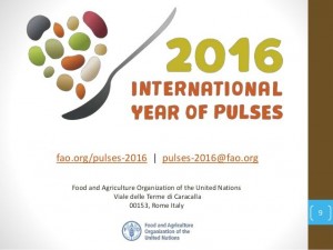 international-year-of-pulses
