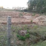 public-path-encroachment-fence-removed-from-wrong-place