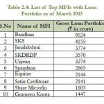 mfi-loan-portfolio
