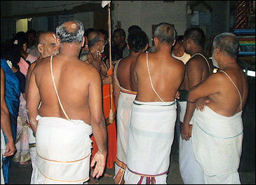 Brahmin