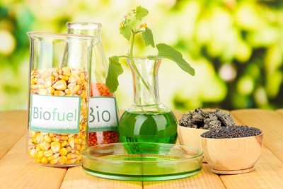 Biofuel