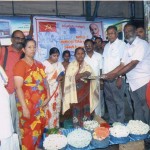 thanjavur nov 7 (9)