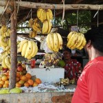 Pudhucherry (14)