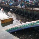 varda-cyclone-kasimedu-report-1 (9)