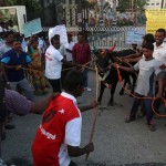 Maduravoyal Manjuvirattu (5)