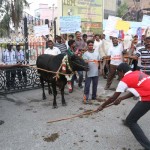 Maduravoyal Manjuvirattu (7)