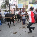 Maduravoyal Manjuvirattu (8)