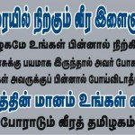 Merina Poster