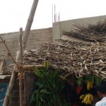 RSYF Chennai (2)