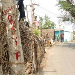 RSYF Chennai (4)