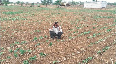 farmer