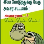 jallikattu-10