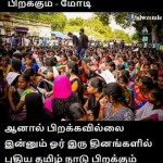 jallikattu-11