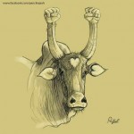 jallikattu-12