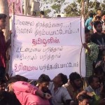 jallikattu marina vadivasal
