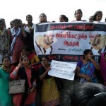 jallikattu-modi-protest-1 (9)
