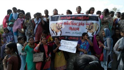 jallikattu-modi-protest