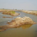 நல்லூர் உப்பனாறு வழியாக கடல் நீர் வருதல்