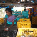 bottle-cleaning-(1)