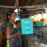 bottle-cleaning-(4)