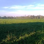 neduvasal_protest (13)