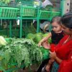 vegetables_jpg_1614124f