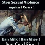 beef_ban_cow_meme01