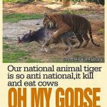 anti-national-tiger