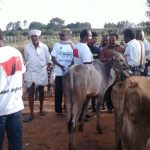 Pracaharm in Bagalur Cattle Market (9)