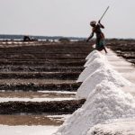 salt-uppalam-03