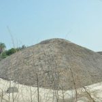 salt-uppalam-16