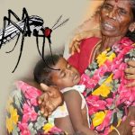 dengue-fever