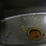 அசுத்தமான குடிநீர் குழாய்.2