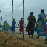prawns farm (1)