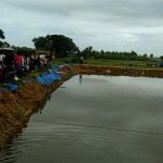prawns farm (1)_1