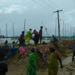 prawns farm (2)