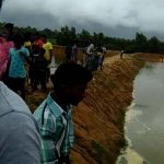 prawns farm (3)