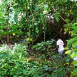 trichy-lalgudi-makkal-adhikaram-cleaned-the-canal (4)
